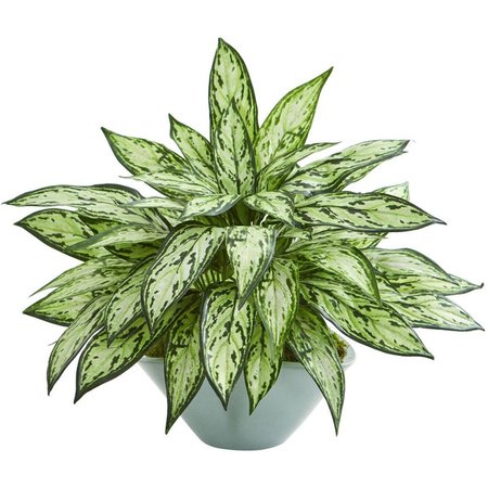 NEARLY NATURALS Silver Queen Artificial Plant in Green Vase 8367